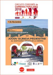 Subida Pedestre al Santuario Virgen de la Sierra 2018